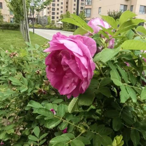 2023高考作文真题汇总（附最全范文）+续写题源及译文