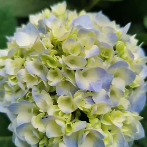 2023全国高考模拟精选作文