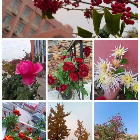 “学”无止境     “数”你最美