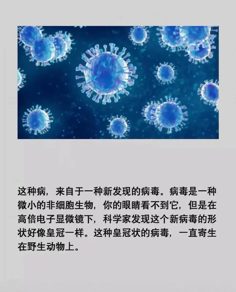  武汉的新型冠状病毒是什么时候爆发的呢(武汉的新型冠状病毒是什么时候爆发的呢视频)