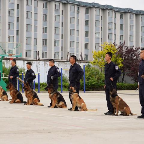 珲春市第一实验小学校，社会体验活动—2021.5.31