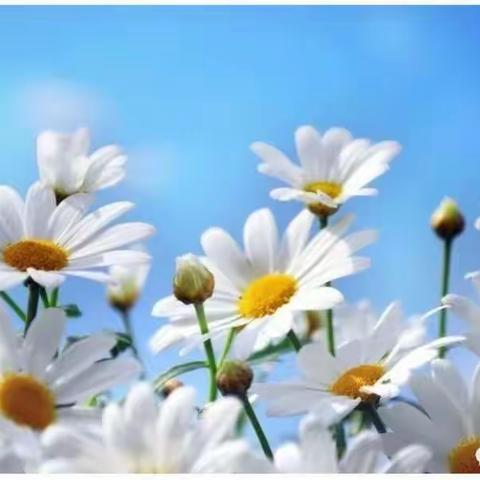 关注一个号    塑造一批人