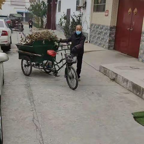 鹿苑街道人居环境整治百日行动（11月23日工作纪实）