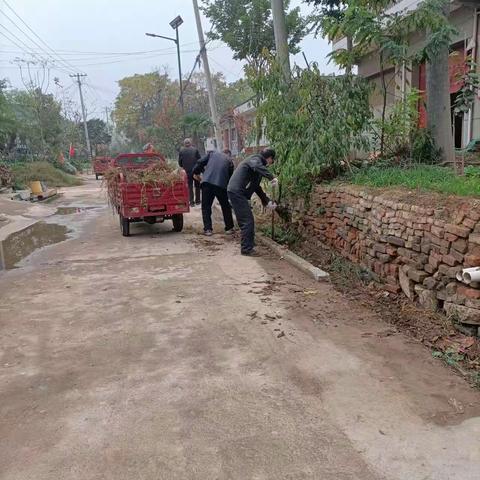 鹿苑街道持续开展人居环境整治百日行动（11月14日工作纪实）