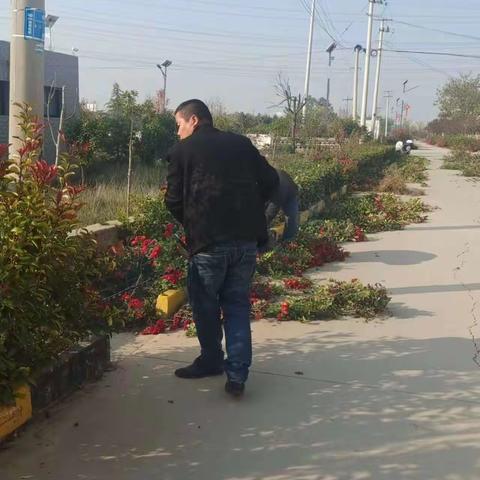 鹿苑街道人居环境整治提升百日行动工作纪实（11月16日）