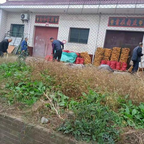 鹿苑街道人居环境整治百日行动（11月18日工作纪实）