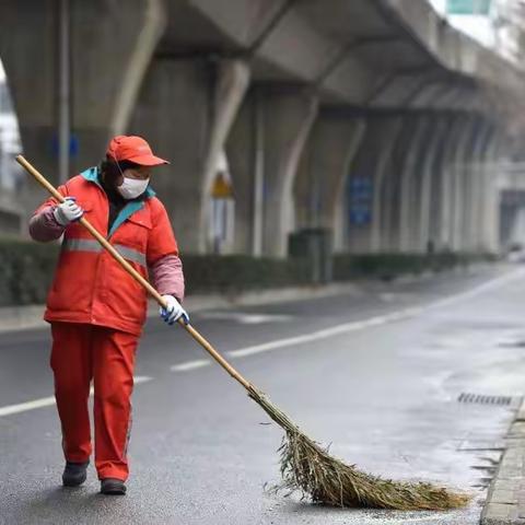 港湾与自然和谐共处