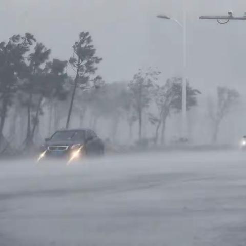 风雨交加的一天—小马宝莉作文练笔