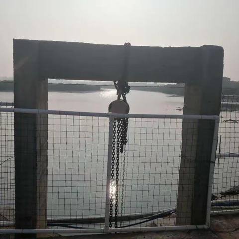 海洋督察日常巡查9月11日