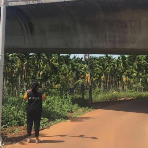 演丰镇环境站“双节”期间日常巡查10月3日