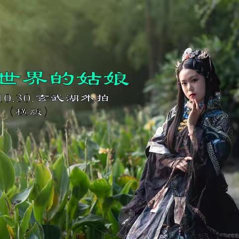 动漫世界的姑娘（横片）