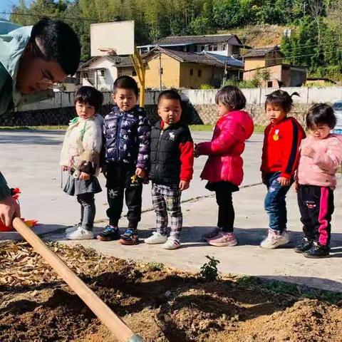 “种下绿色 关爱地球”——南磜镇中心幼儿园植树节主题活动