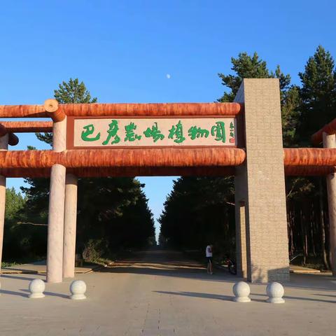 植  物  园