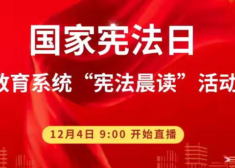 铁王中心小学“弘扬宪法精神，点亮法治之光”宪法宣传日活动