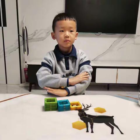 375班沈桓立第二单元《有趣的比较》实践作业