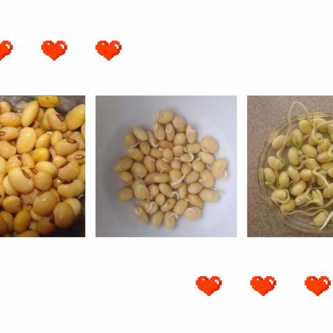 【福惠小学】播种绿色，同心战役——福惠小学寒假活动纪实