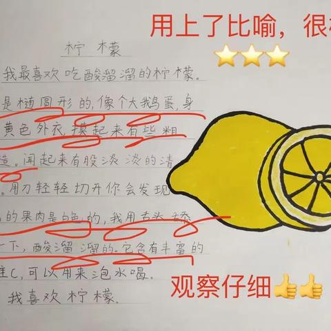 “疫”时光，成长不止步 ——扬中市外国语小学二（7）班线上学习成果全员展示