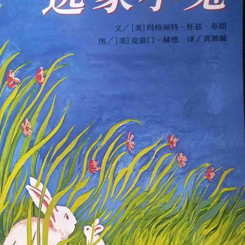 【世界读书日】绘本推荐（小班）——泗洪县明德幼儿园
