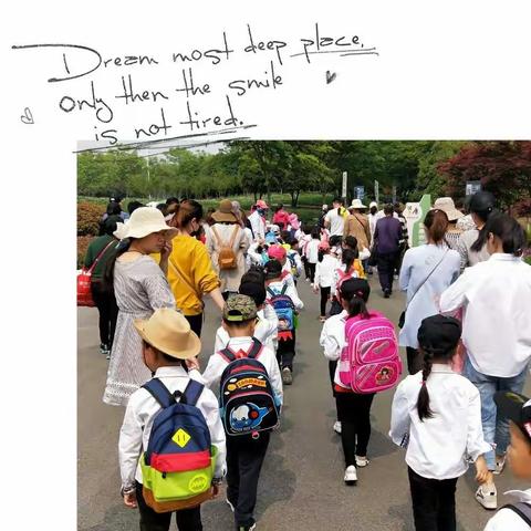 “亲近自然，放飞梦想”—明德幼儿园中班组亲子春游活动