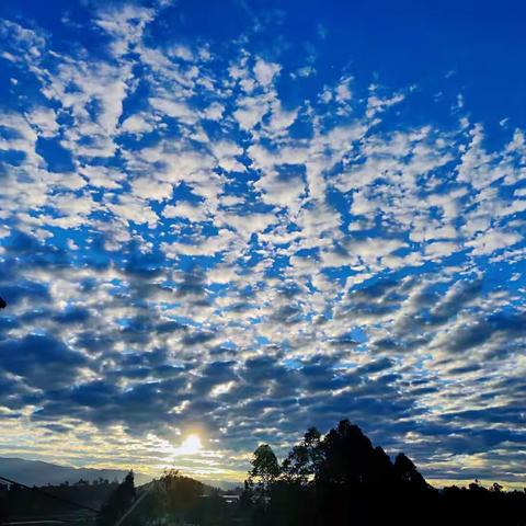 查短板 找差距 促整改 强担当