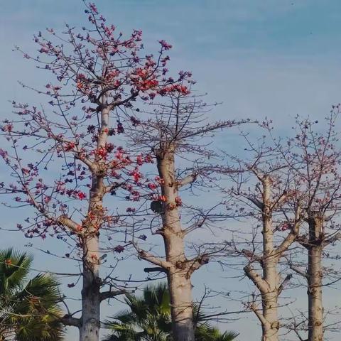 交流学习互促进 携手并进谋发展