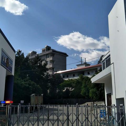 九年磨剑亮出鞘 百日鏖战赢中考