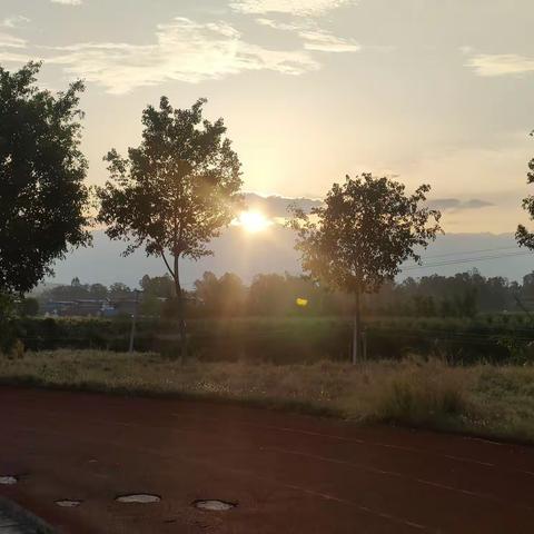 关注体重 关注健康 远离肥胖