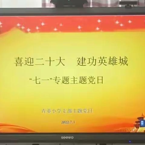 丹心永向党，喜迎二十大——洪山区青菱小学党支部系列活动