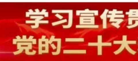 理论学习｜统一思想，凝聚力量 曲抱村党总支部组织开展“党的二十大精神---乡村振兴”专题学习会