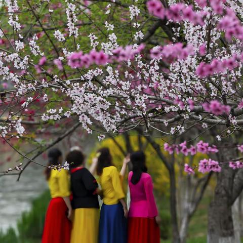 闹市之中桃花潭