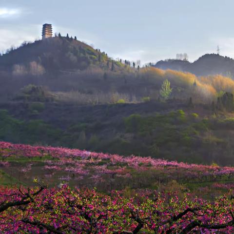 终南山之桃花源