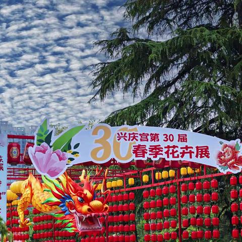 兴庆宫＠花卉展【拾零】