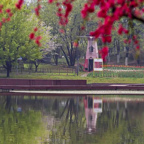 植物园花展随拍