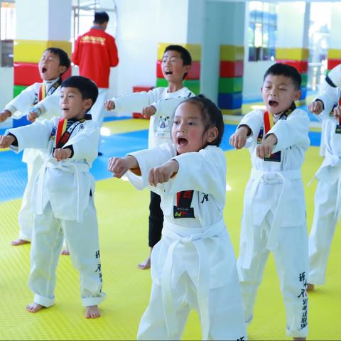 永平县旋风跆拳道