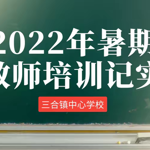 三合镇中心学校暑期培训记实