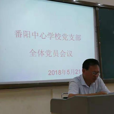 番阳中心学校党支部全体党员学习“两学一做"