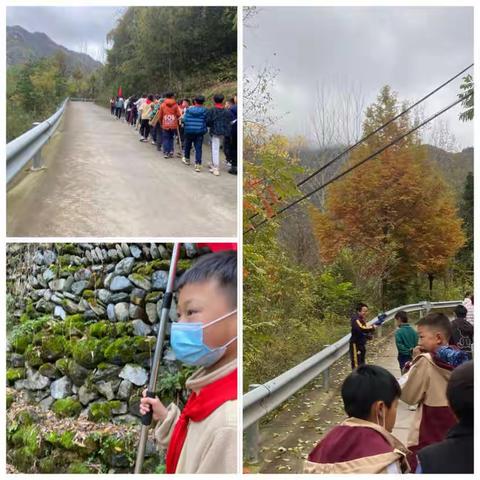 种植白菜 快乐劳动