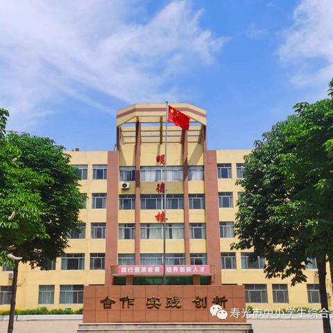 实践出真知 体验促成长—孙家集街道乐义实验小学综合实践基地活动纪实