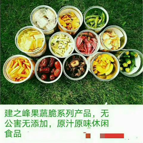 建之峰果蔬系列产品，无色素，无添加剂非油炸，新一代健康食品首选，诚征代理商，联系电话：15835935027