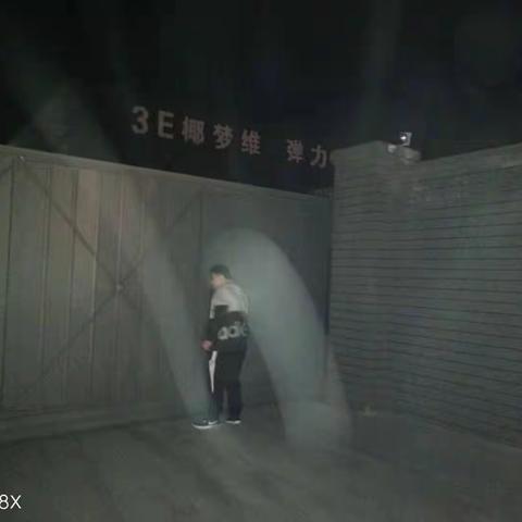 窝洛沽镇夜查情况
