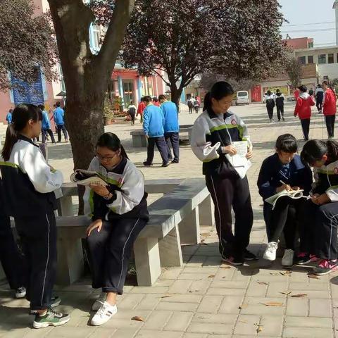 记录我的实习生涯