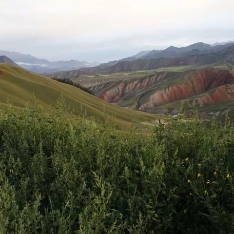 兰州   青海湖美景（摄于2017年8月）