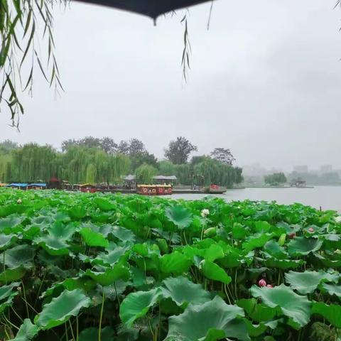 一叶知秋，一夜至秋