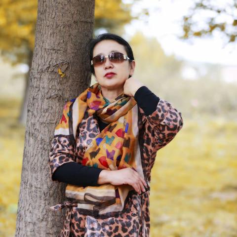 银杏林初冬情暖