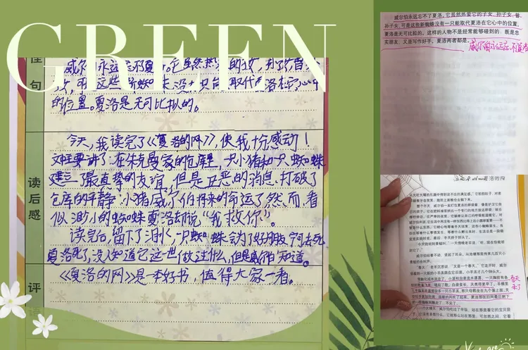 《夏洛的网》·温情与友谊,生命与爱 ——三年二班五月读书活动总结