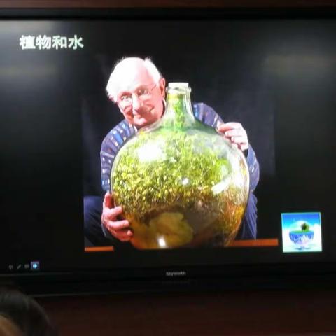 植物和水