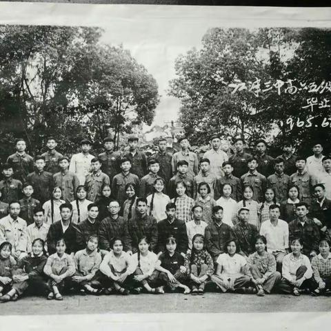 1965青葱年代