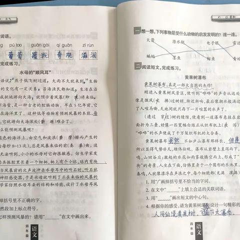 不负寒假好时光——临洮县连儿湾乡翟家梁小学寒假作业展示
