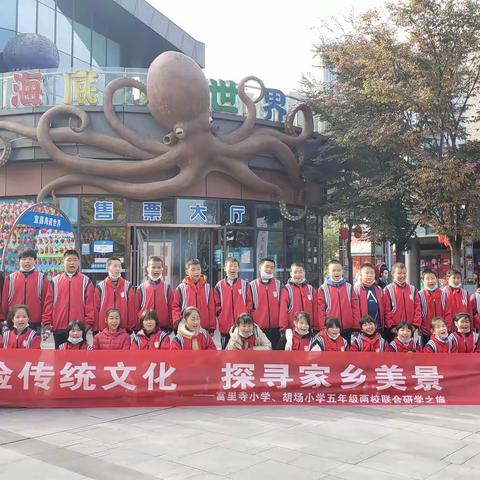 当阳胡场小学501班海底世界，车溪研学二日营
