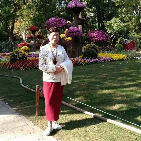 美篇